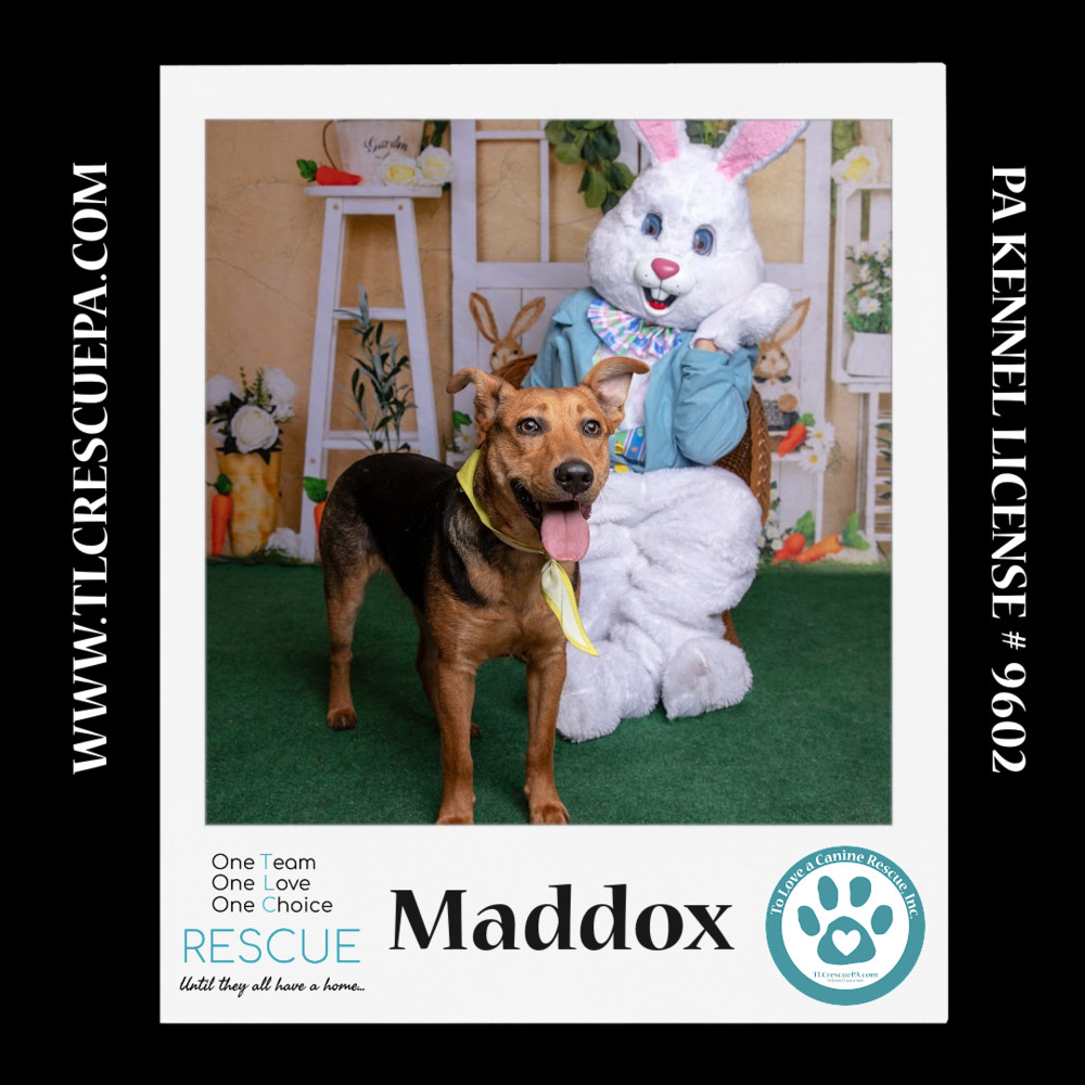 Maddox (Cocoa Krispies) 020324
