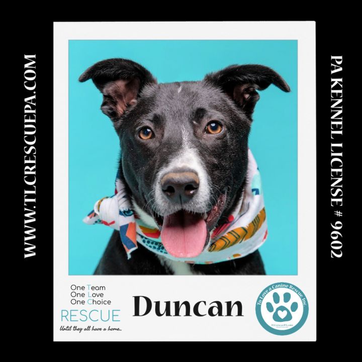 Duncan (Cocoa Krispies) 020324 1