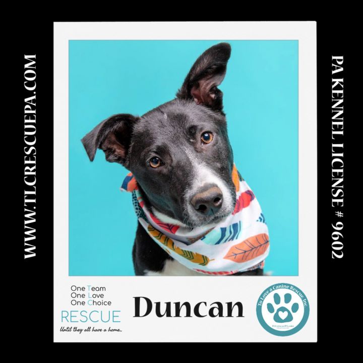 Duncan (Cocoa Krispies) 020324 3
