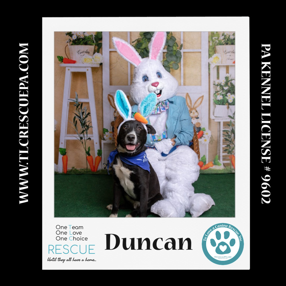 Duncan (Cocoa Krispies) 020324