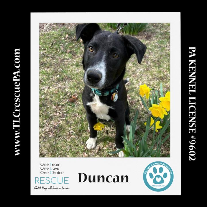 Duncan (Cocoa Krispies) 020324 5