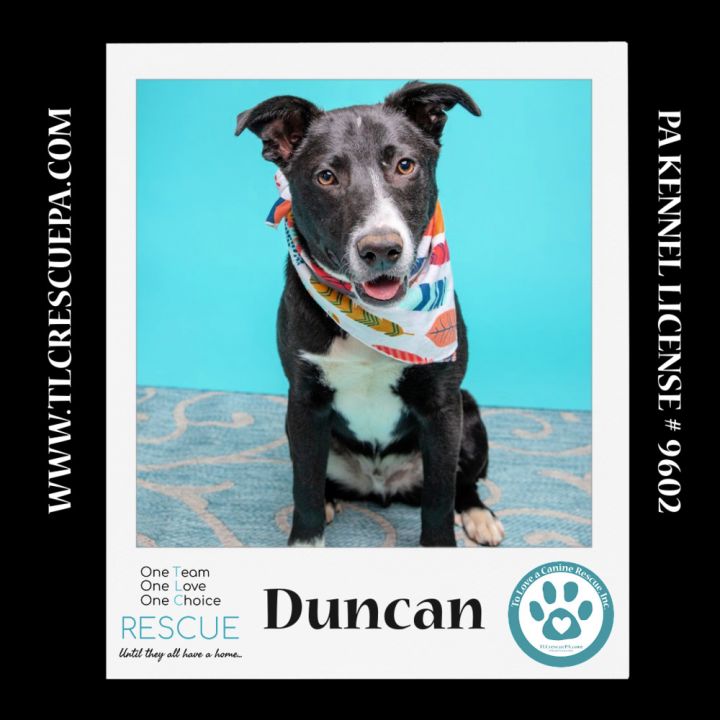 Duncan (Cocoa Krispies) 020324 6