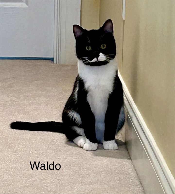 Waldo 1