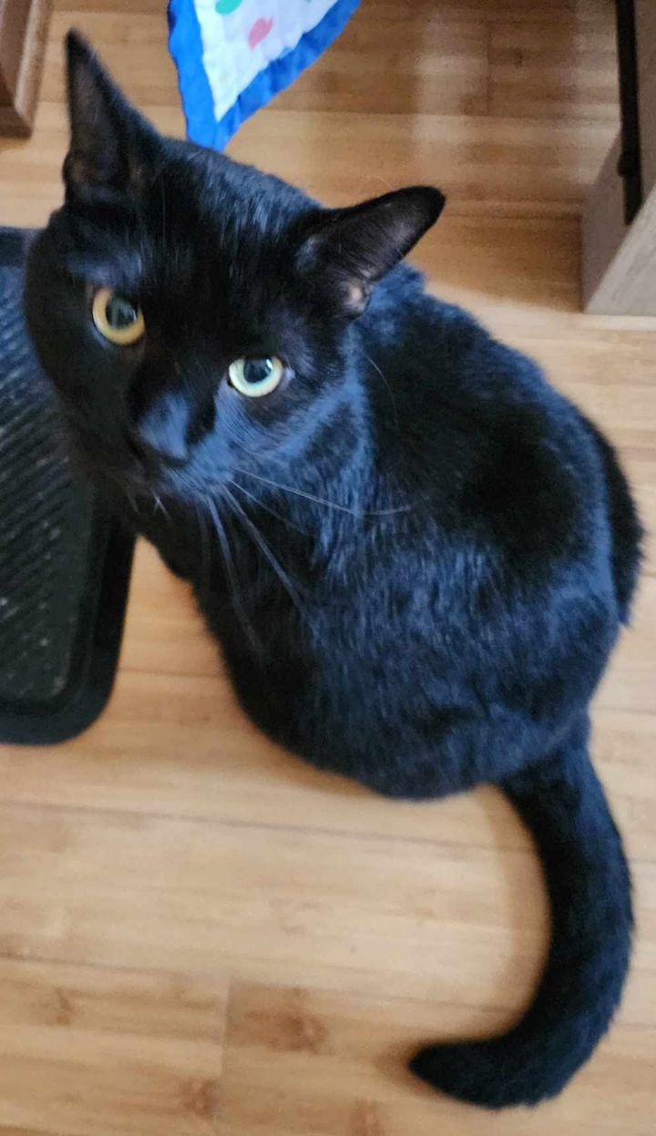 Pico de Gato 2