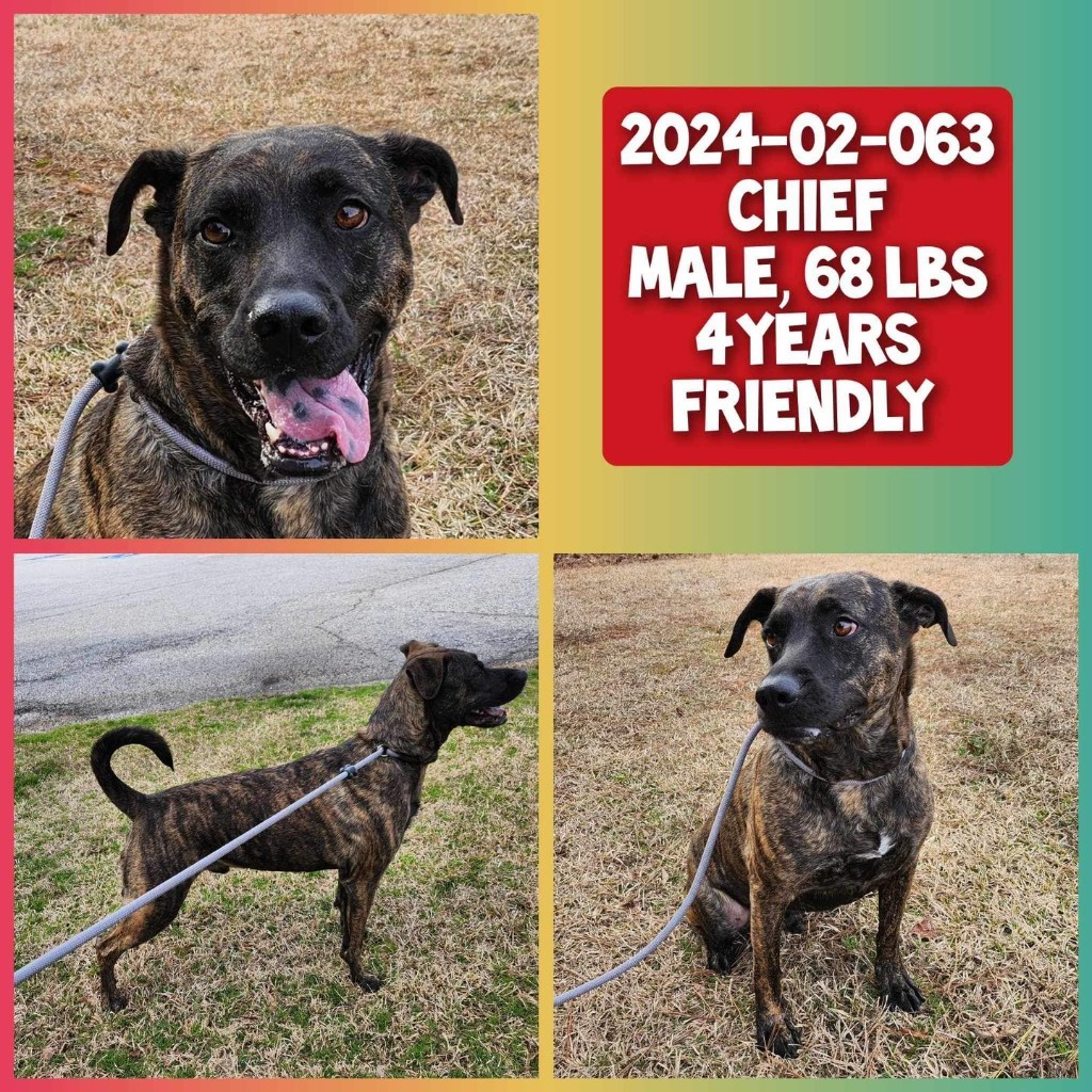 2024-02-063 *Chief*