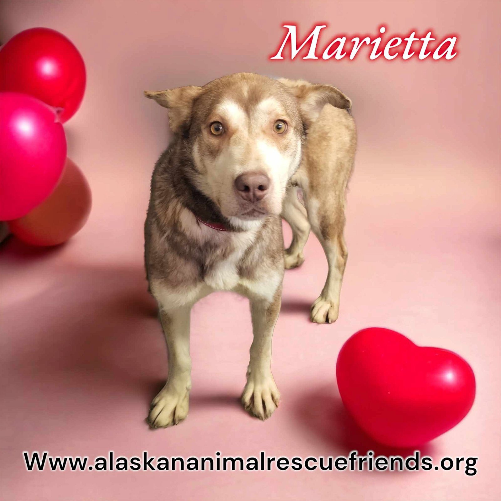 Marietta detail page