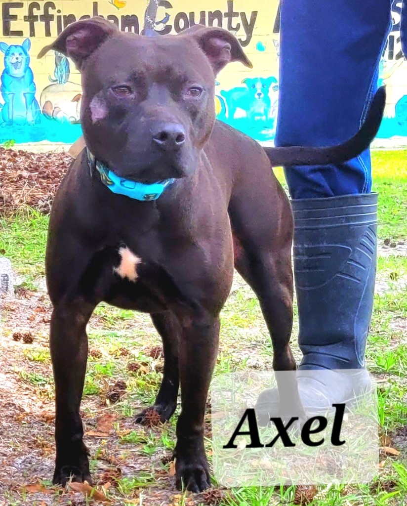Axle