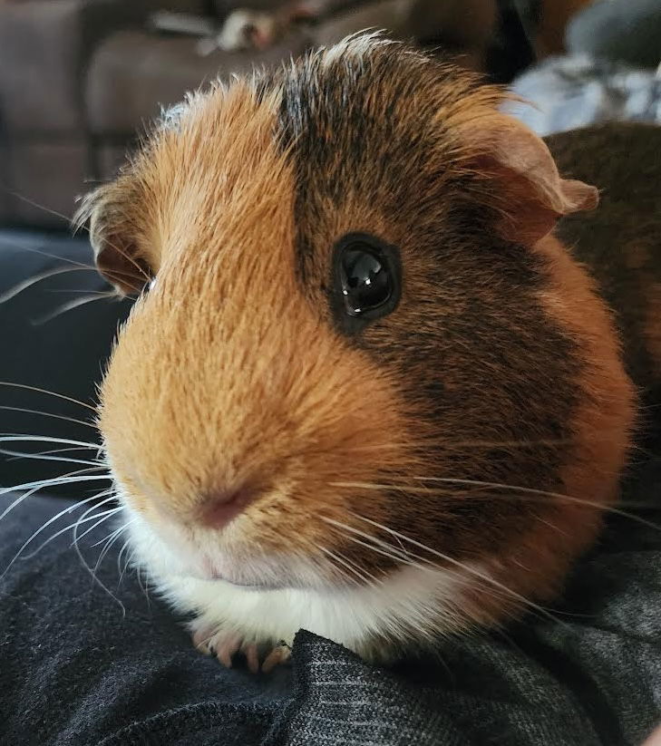 Walter