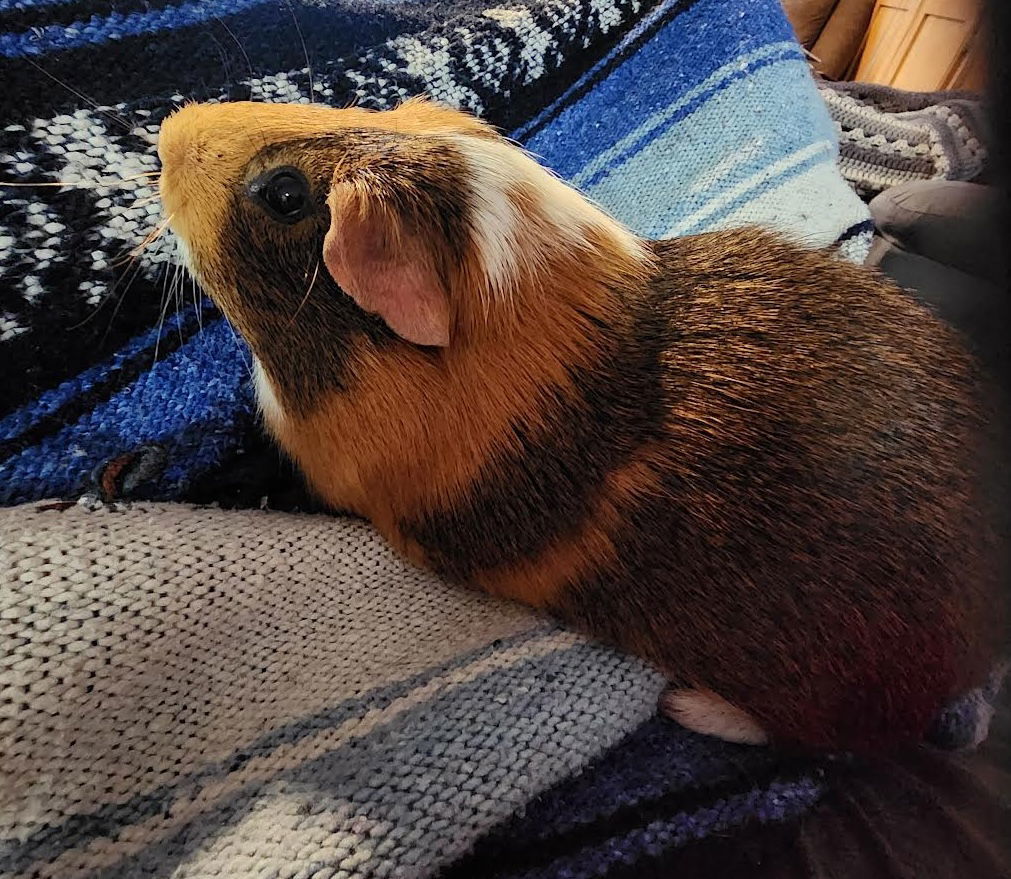 Walter