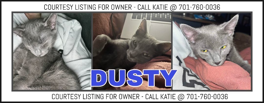 Dusty - COURTESY LISTING FOR OWNER