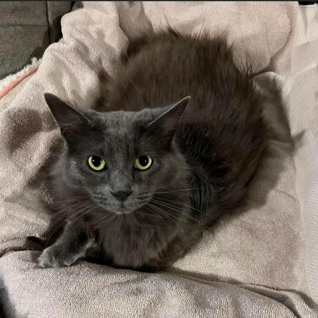 Frankie