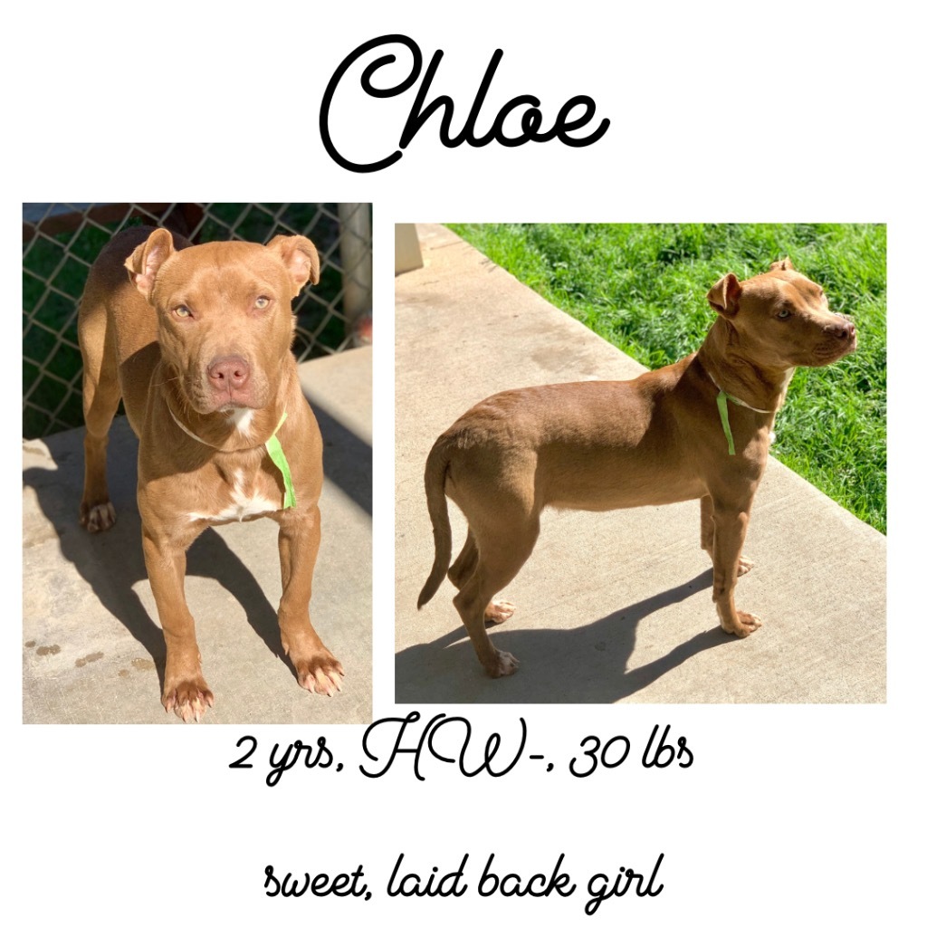 Chloe detail page