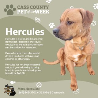 Hercules 2