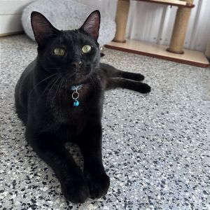 Neo, Adult Male unknown