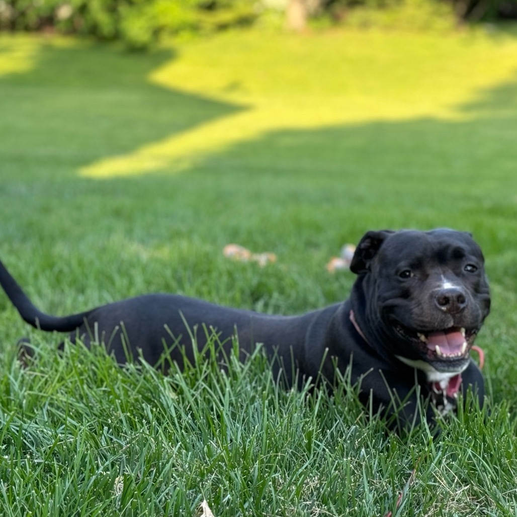 Capone