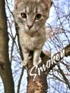 Smokey photo 3