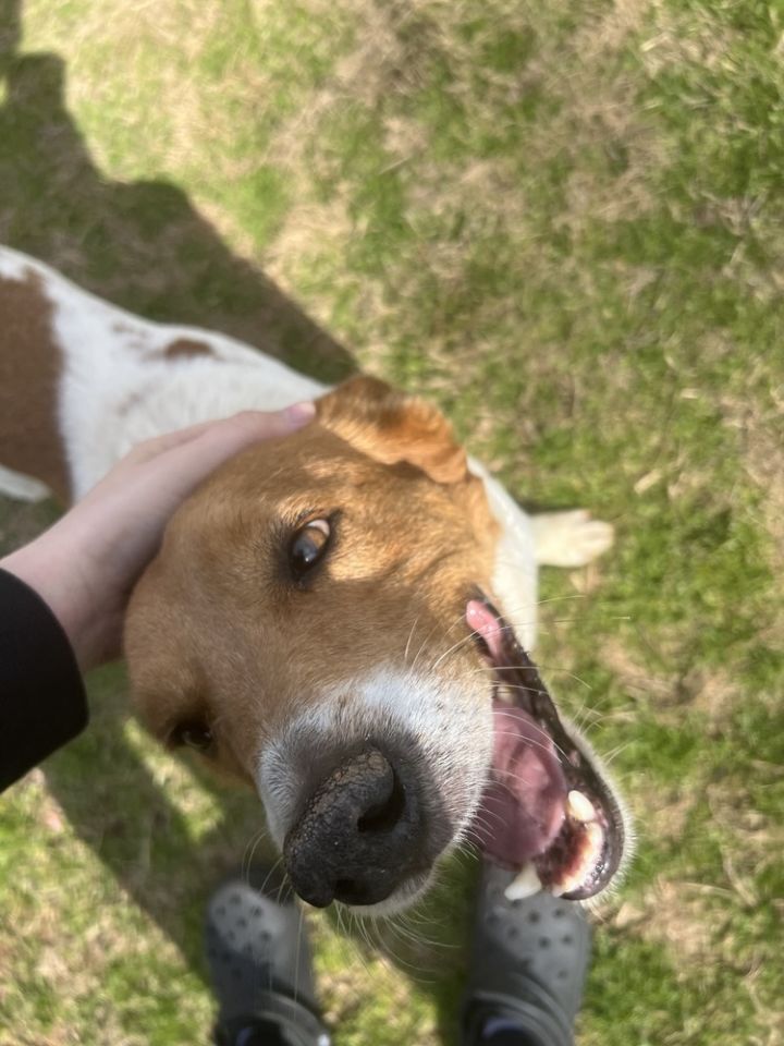 Jake ***Special Needs - Seizures*** 5