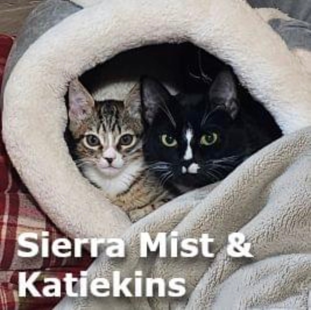 Sierra Mist and Katiekins