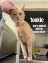 Tookie photo 3