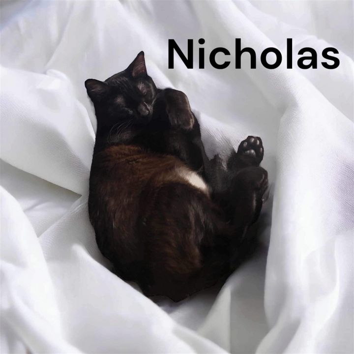 Nicolas 3