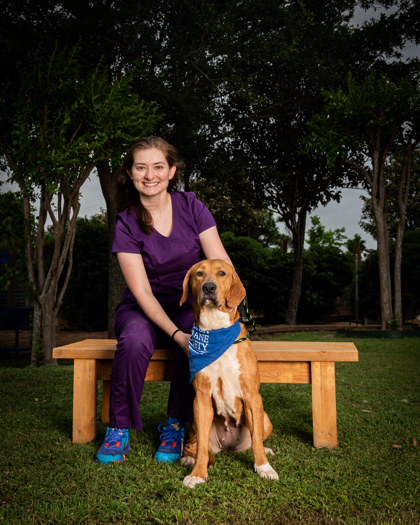 DAWN, an adoptable Bloodhound, Mixed Breed in Houston, TX, 77053 | Photo Image 1