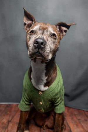 WALTER