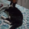Sadie photo 2