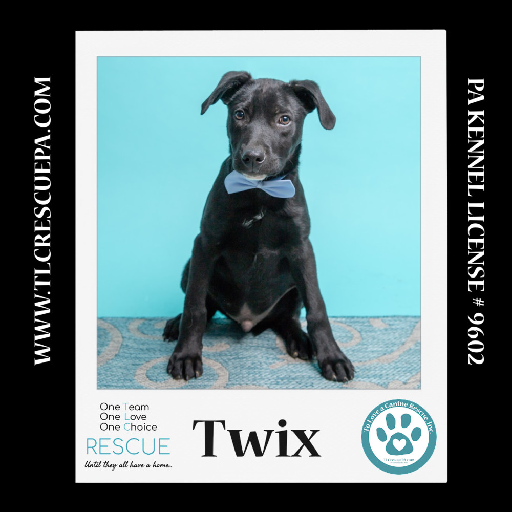 Twix (Nougat Nuggets) 021024