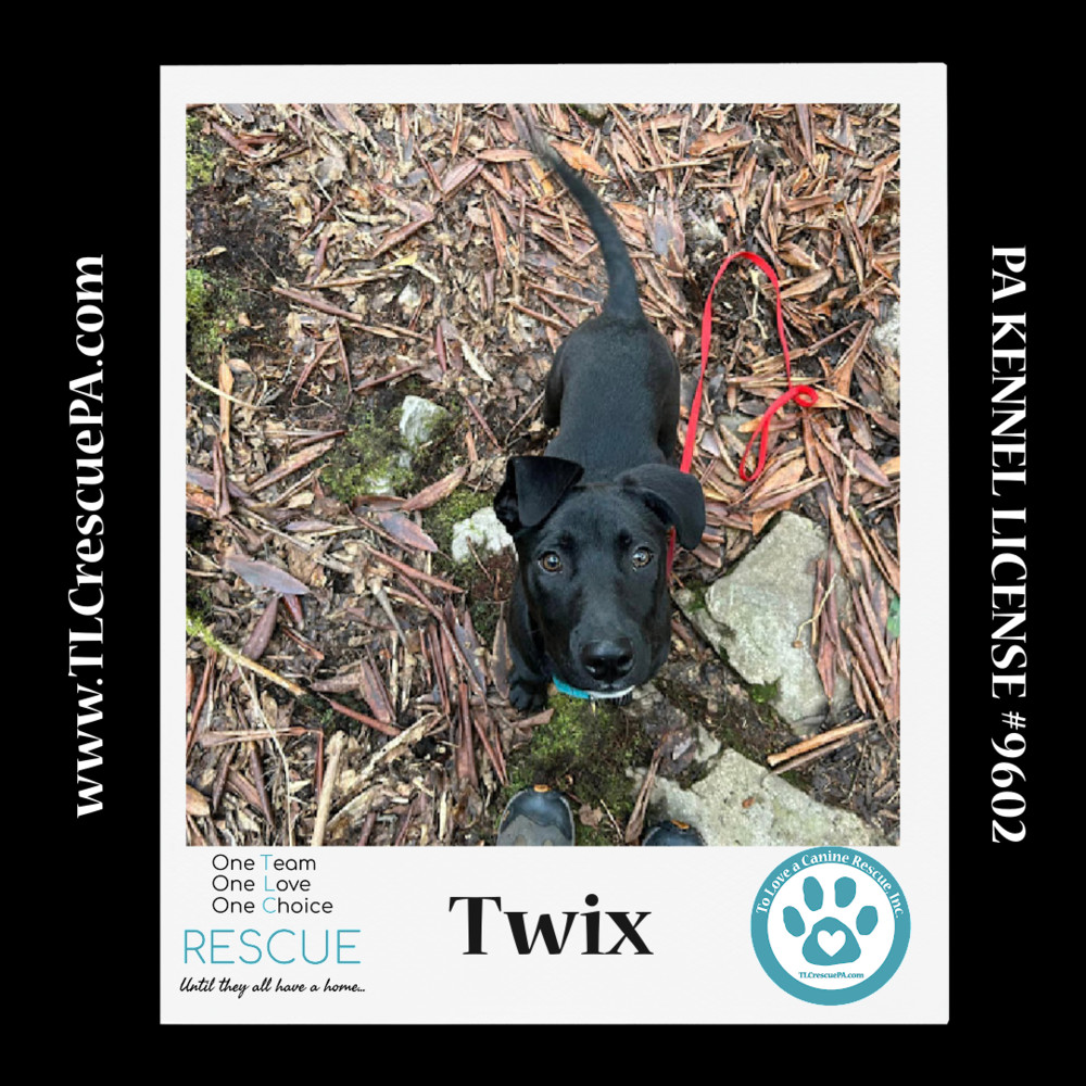 Twix (Nougat Nuggets) 021024