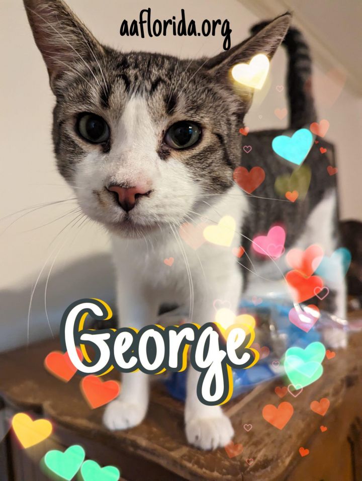 George 1