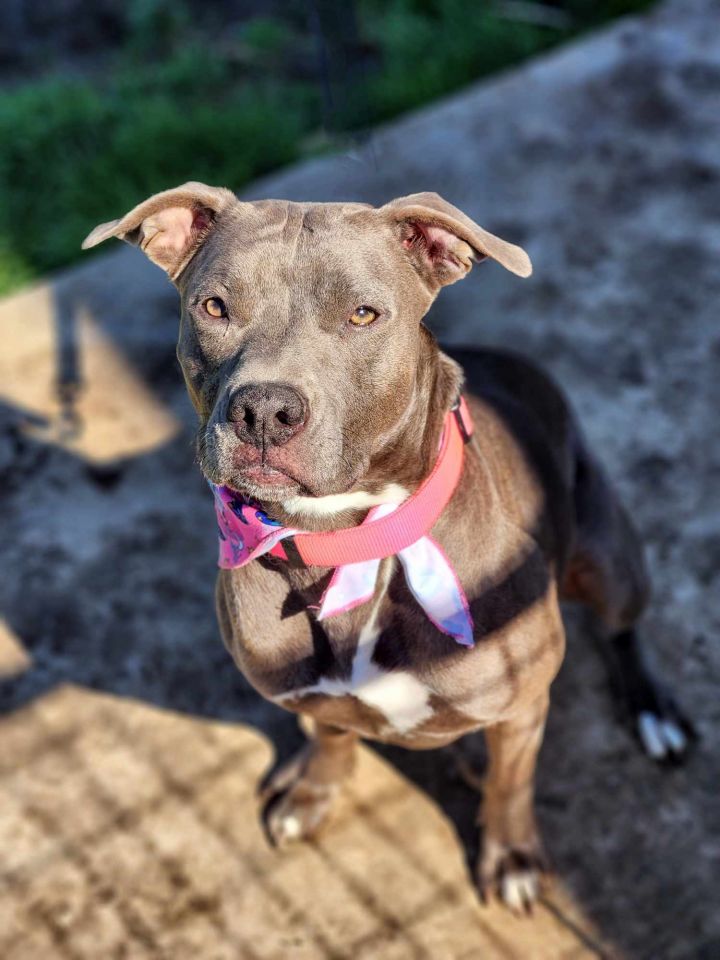 Missy 1