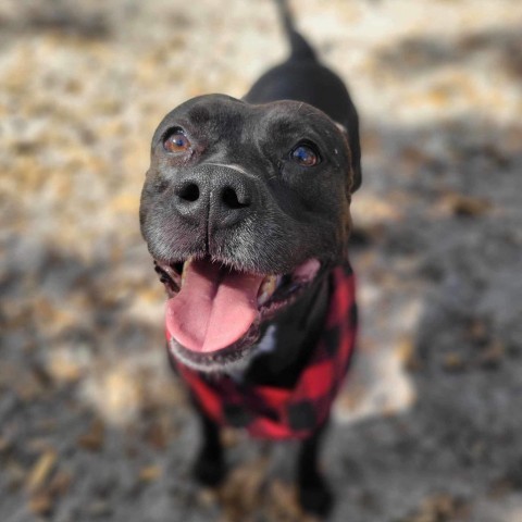 Coco 4