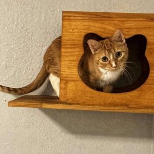 Lilu