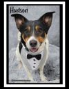 Hudson photo 3