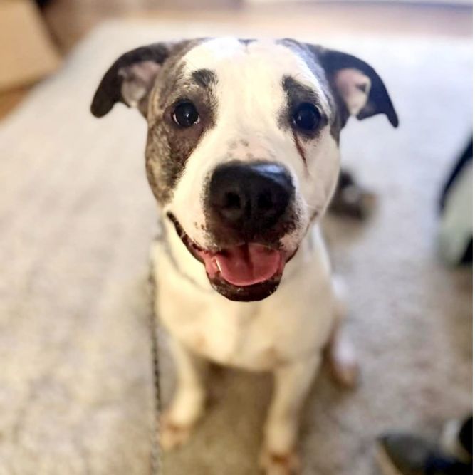 Winston