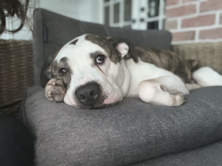 Winston 4