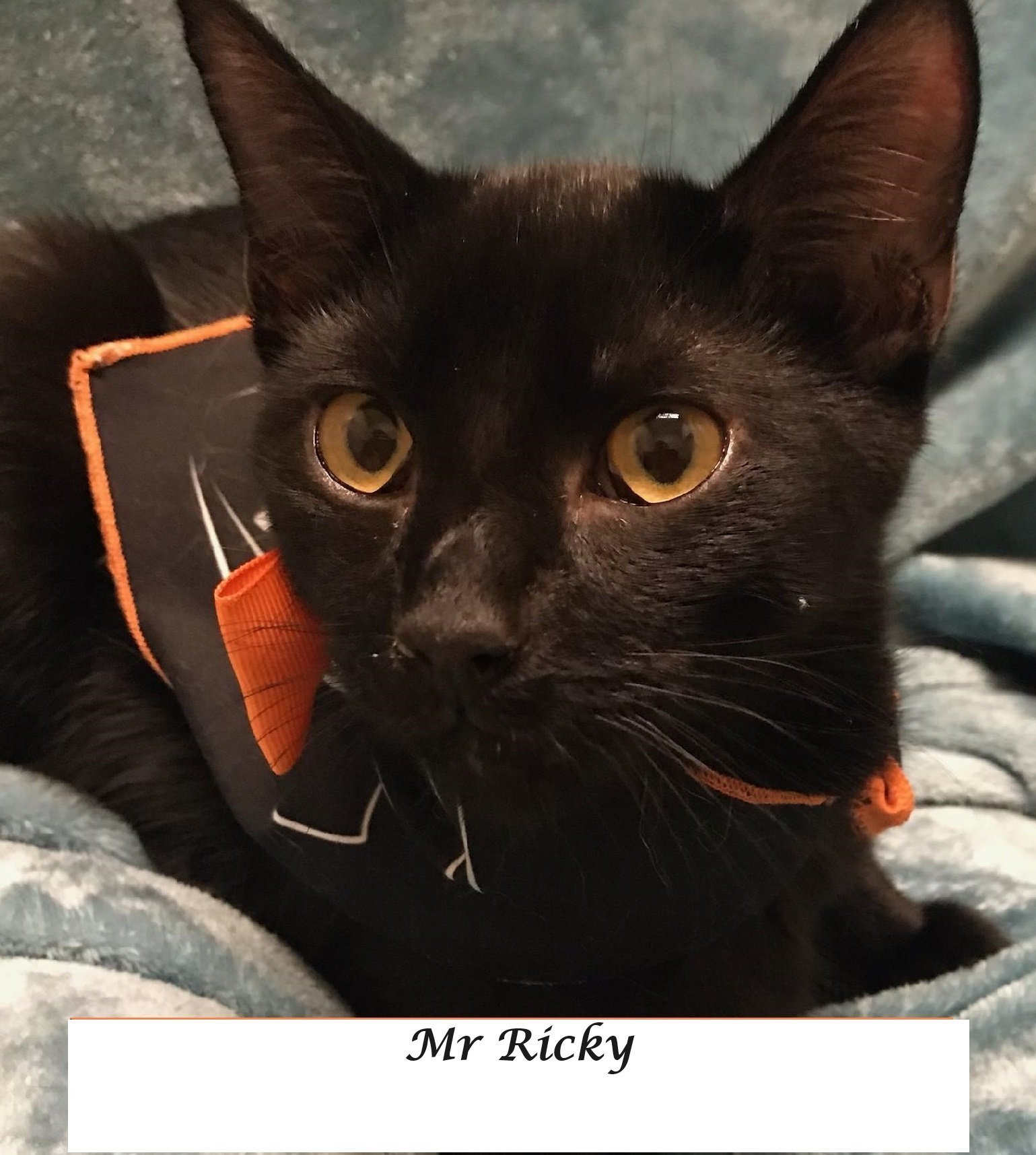Mr Ricky at Martinez Pet Food Express March 23rd