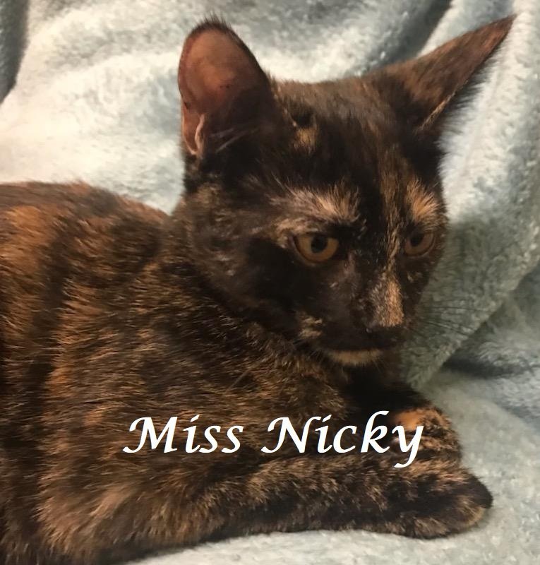 Miss Nicky at Martinez Pet Food Express March 23rd