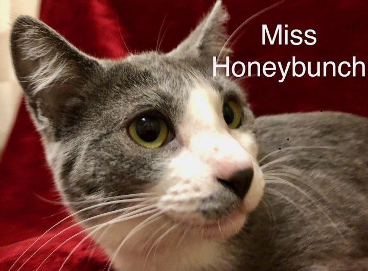 Miss Honeybunch at Martinez PFE April 27th 2