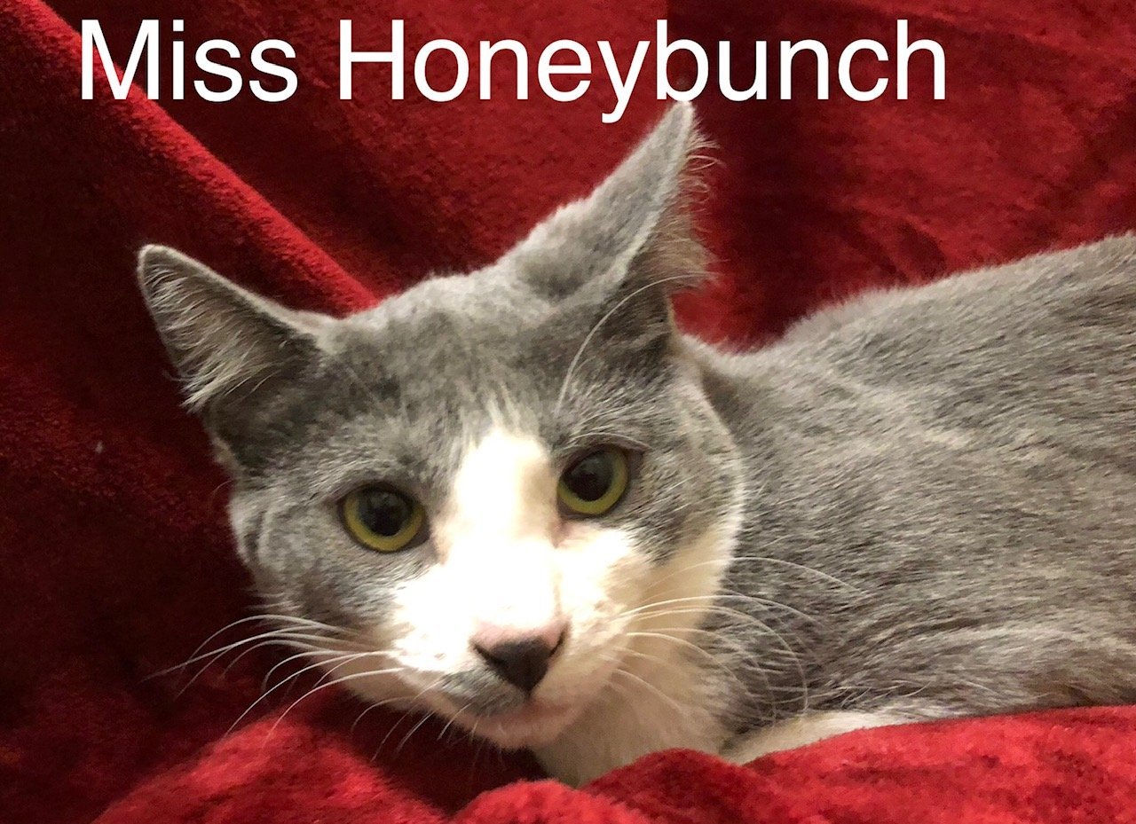 Miss Honeybunch at Martinez PFE March 23rd
