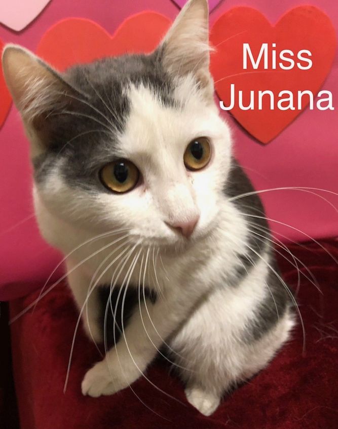 Miss Junana at Martinez Pet Food Express April 27