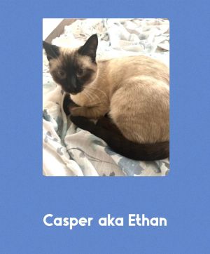 Casper aka Ethan
