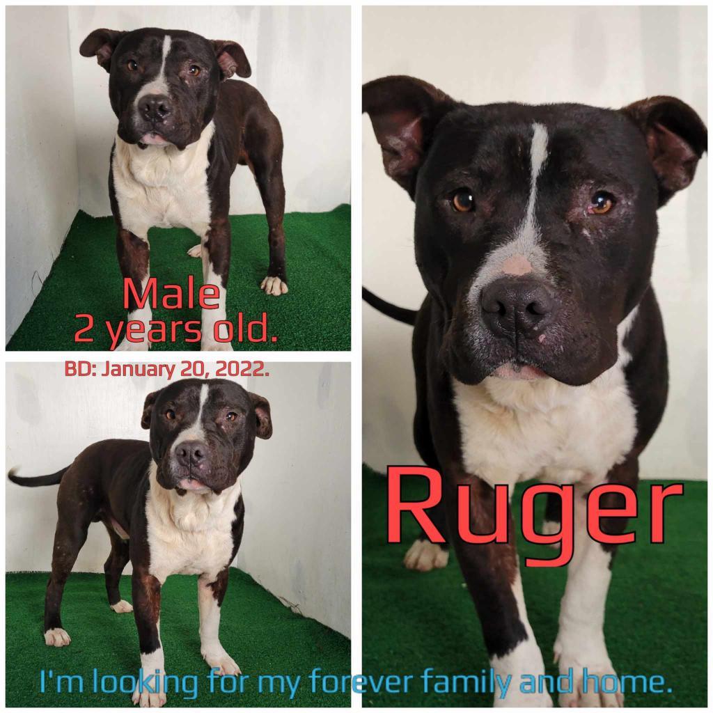 Ruger