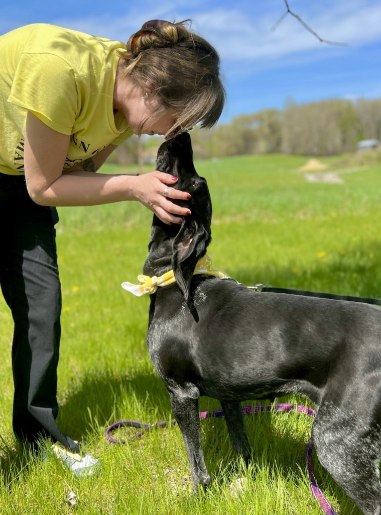 Pixie, an adoptable Mixed Breed in Menomonie, WI, 54751 | Photo Image 5