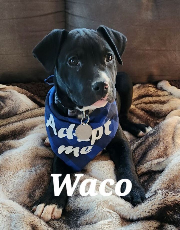 Waco 4
