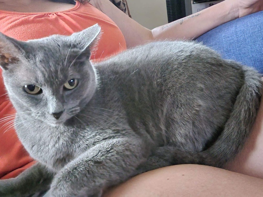 Heidi
