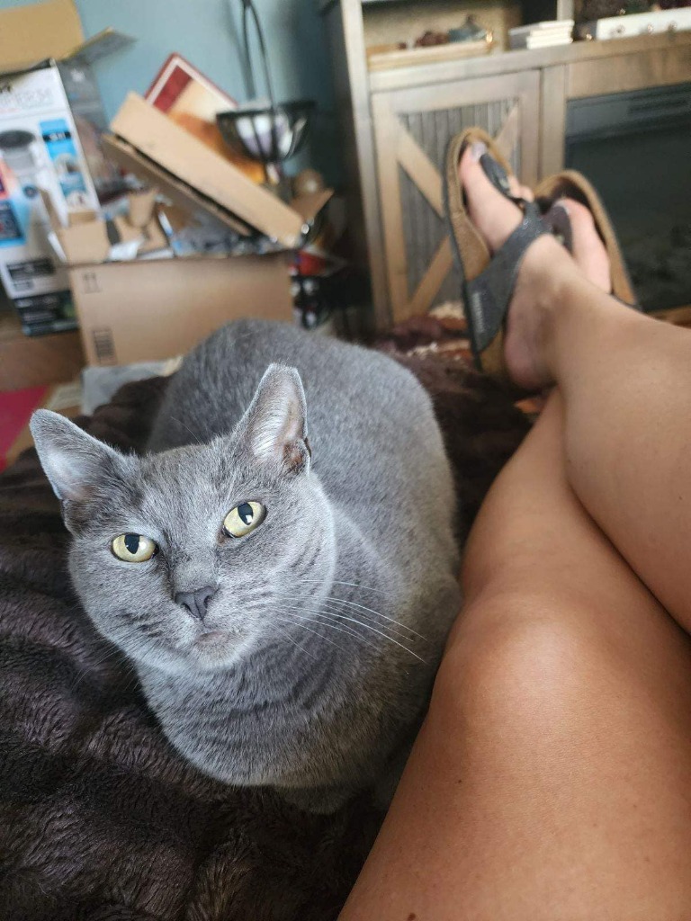 Heidi