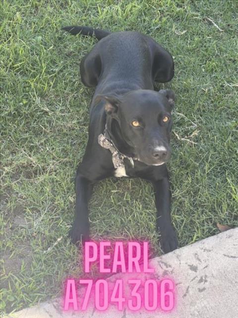 PEARL