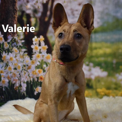 Valerie 1