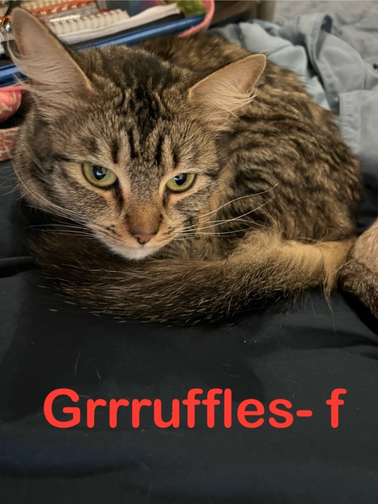 Grrruffles 24